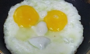 eggs-683597_960_720